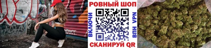 A PVP Вольск