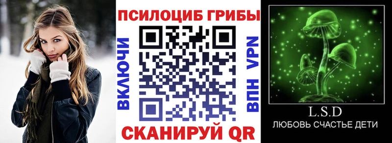 Псилоцибиновые грибы прущие грибы  Вольск 